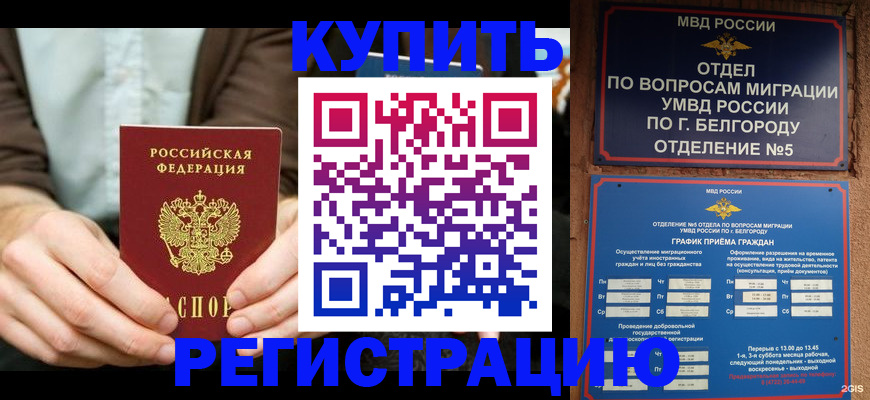 прописка 2025 в Пугачёве